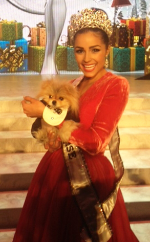 Olivia Culpo,Giggy Olivia Culpo,Giggy